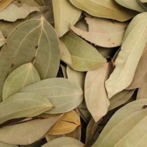 Cassia Leaves