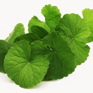 Gotu kola ( vallarai )